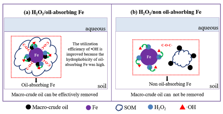 利用铁催化H2O2吸附油技术来高效氧化污染土壤中原油