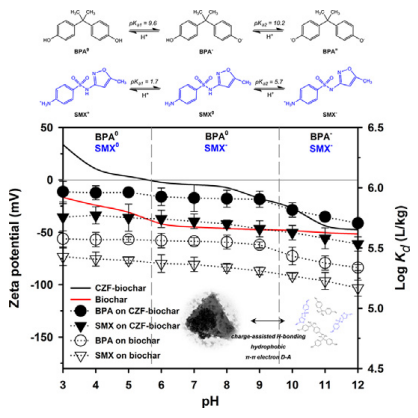 新型磁性CuZnFe2O4-生物炭复合材料对双酚A和磺胺甲恶唑的强化吸附