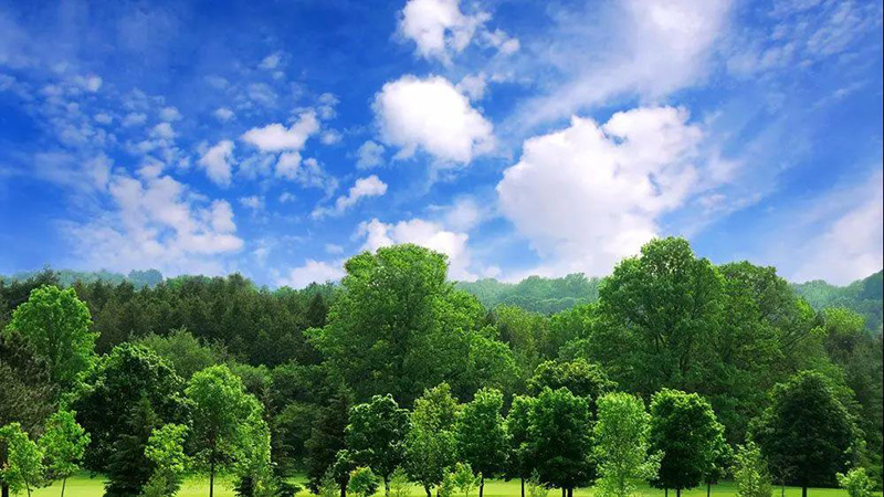 森林覆盖率升至22.96% 中国生态环境持续向好